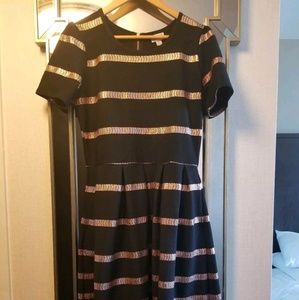 Lularoe XL Rose Gold Stripe Elegant Amelia